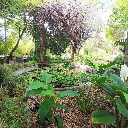 Home2book Design Residencial Anaga דירה סנטה קרוז דה טנריף